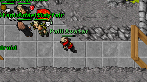 Palli Avatar on screen