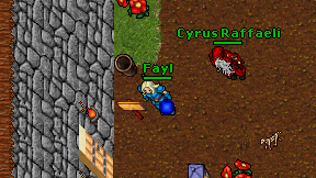 Fayl on screen