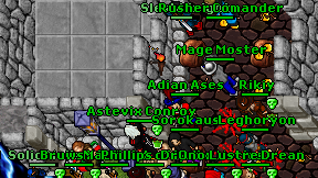Mage Moster on screen