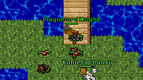 Plaguelord Knight on screen