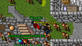Vlaskiz on screen