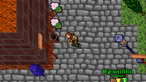 Zamugi on screen