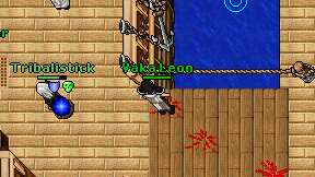 Vaka Leon on screen