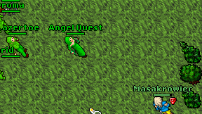Angel Quest on screen