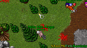Milo the Mage on screen