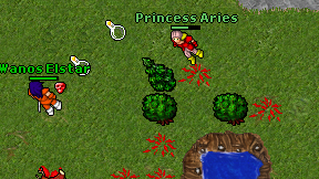 Princess Aries on screen