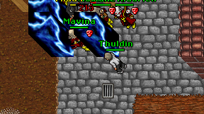 Thuldin on screen