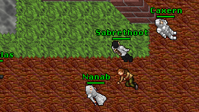 Nanab on screen