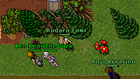 Rodaro Tomi on screen