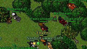 Execution Pal on screen