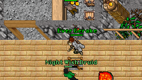 Ever Gerake on screen