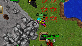Bobie on screen