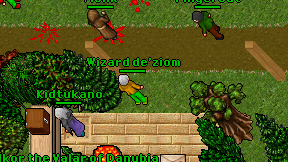 Wizard de'ziom on screen