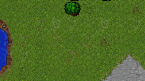 Take Kais on screen