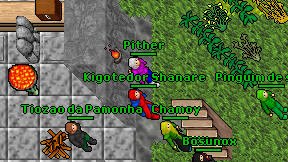 Pither on screen