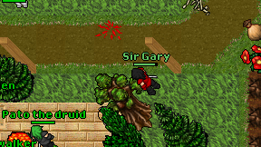 Sir Gary on screen