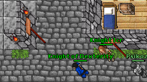 Knight of Dexterity on screen
