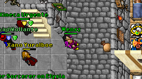 Wensz on screen