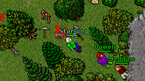 Starlung on screen