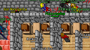 Moon Paladyn on screen