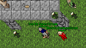 Neth Spectrum on screen