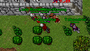 Tekondria on screen