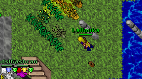 Lallouka on screen