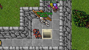 Yoyitox on screen