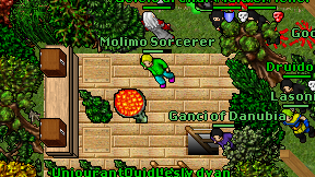 Molimo Sorcerer on screen