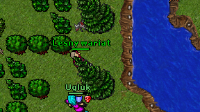 Lesny wariat on screen