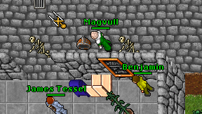 Magvull on screen