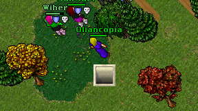 Oliancopia on screen