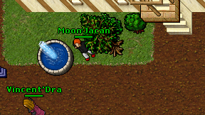 Moon Jacan on screen