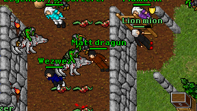 Matt dragun on screen