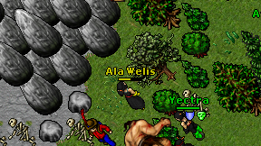 Ala Welis on screen