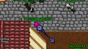 Knight statick on screen