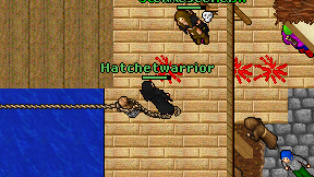Hatchetwarrior on screen
