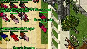 Brucuteia on screen
