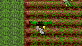 Fallen Hassi on screen