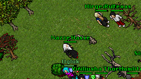 Nazze Hasse on screen