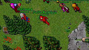 Jalla Kompiz on screen