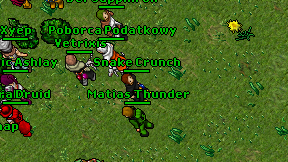 Snake Crunch on screen