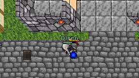 Diren on screen