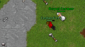 Cedan Feri on screen
