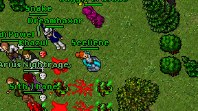 Seeliene on screen