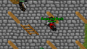 Raiscul Reii on screen