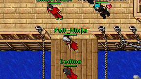 Pali-Ninja on screen