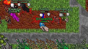Druidits on screen