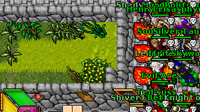 Luizim on screen