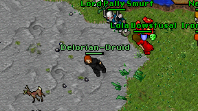 Delorian-Druid on screen
